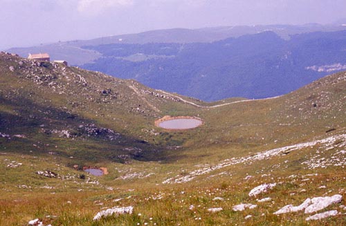 Campofontana, i pascoli di malga di sopra