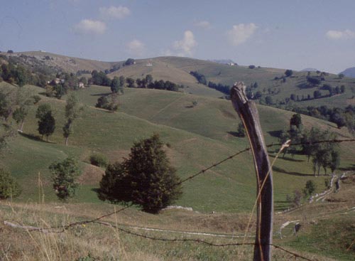 Azzarino, vista sulla ondeggiante Val Sguerza,ecologicamente in pericolo per la probabile apertura dell'ennesima cava di marmo