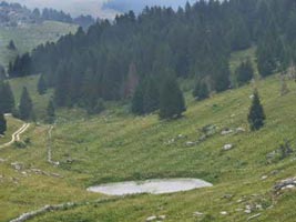 bacino di raccolta acqua della ghiacciaia